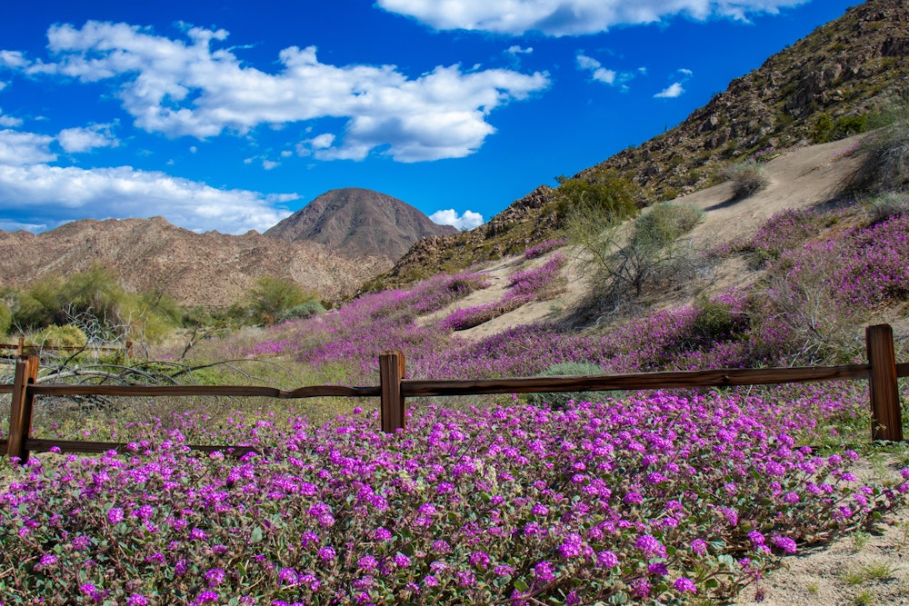 Hiking Trail