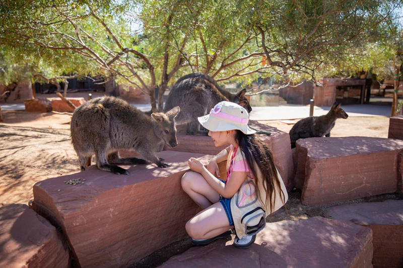 The Living Desert